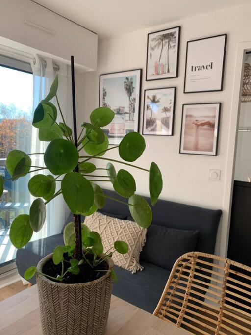 L'Appart 204, Superbe Appartement En Residence Villers-sur-Mer Extérieur photo